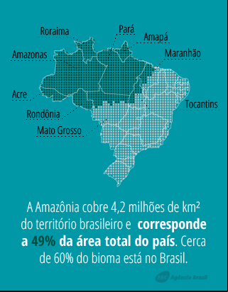 desmatamento amazônia